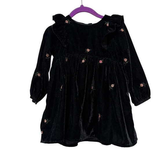 Zara baby girl velvet floral embroidered dress 12-18m - Picture 1 of 7